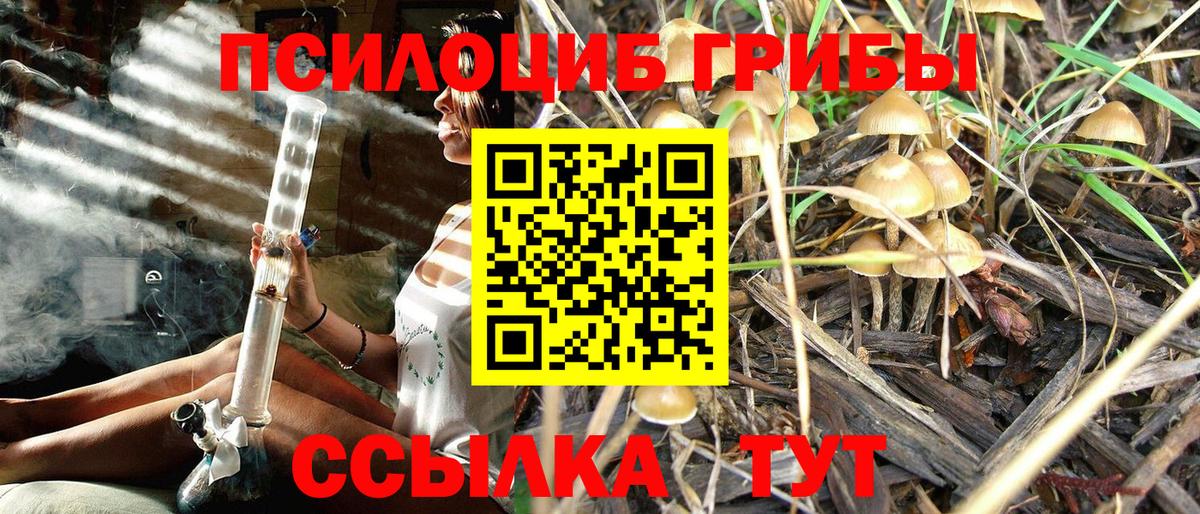 Галлюциногенные грибы Magic Shrooms Балашиха